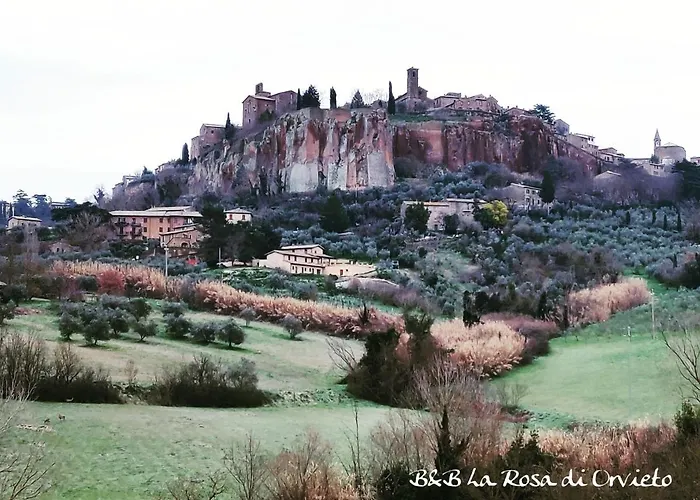 La Rosa di Orvieto